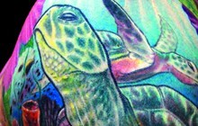tropical Tranquility close-up